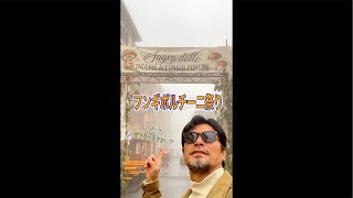 【LIVE】フンギポルチーニ祭りに来てみた!ここはどこだ?霧が凄い…雨が…いや電波もだ