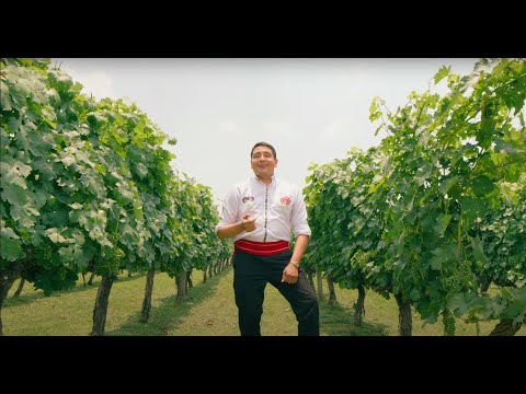 LOS EMBAJADORES DEL GUADALQUIVIR - LA COLEGIALA