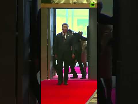 爆笑！习近平的翻译官被门卫塞到门缝里去了😂 #金砖峰会 #习近平 #悉尼奶爸