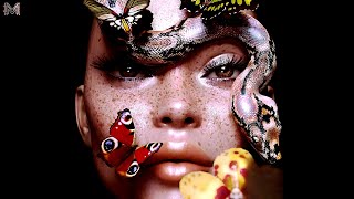 Anyma b2b Adriatique b2b Stephan Bodzin DJ set