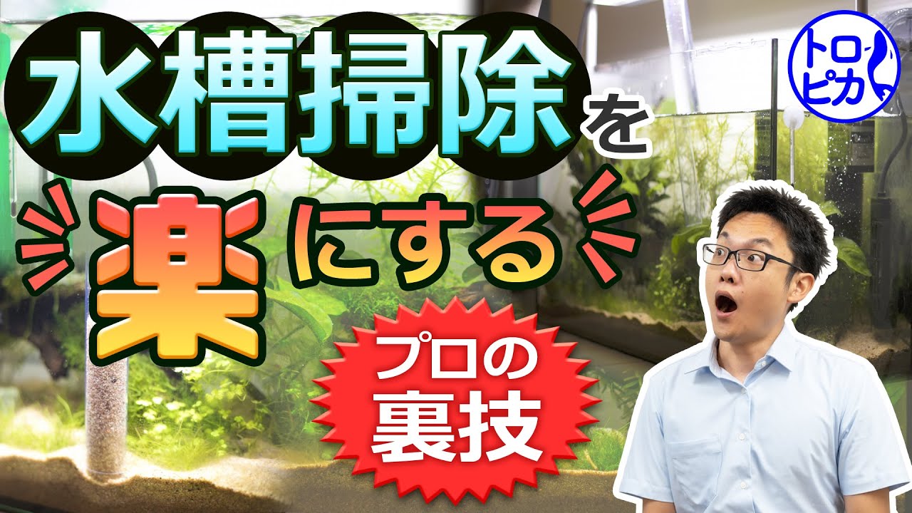 トロピカチャンネル