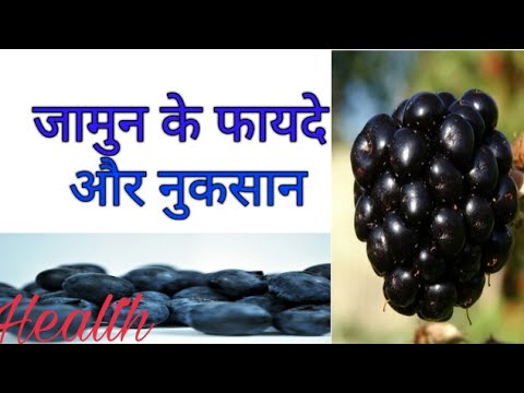 Blackberry Benefits & Side Effects in Hindi