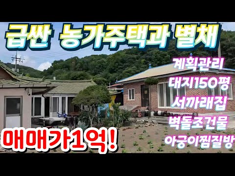 땡처리헐값~2차선인근.청정지역서까래주택.대지150평 서까래주택1…