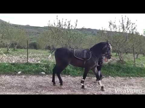 Erba sul ciglio della strada per le articolazioni Cuscino ortopedico da malattia degenerativa del disco della colonna cervicale