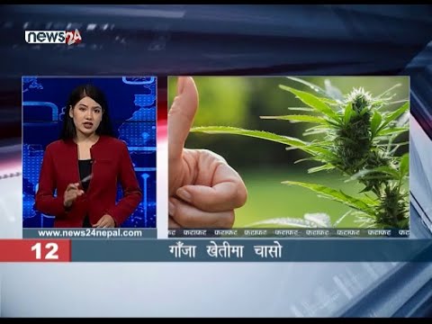 MORNING NEWS FATAFAT - NEWS24 TV
