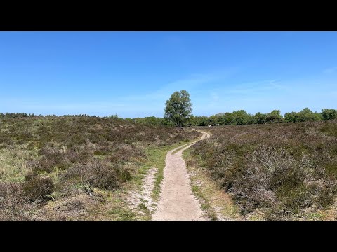 Wandelen over het Pieterpad - etappe 4 - Zuidlaren-Rolde