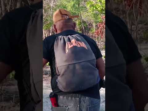 DECTORISMO NO CANTO DOS CUPINS MONSENHOR GIL PIAUI