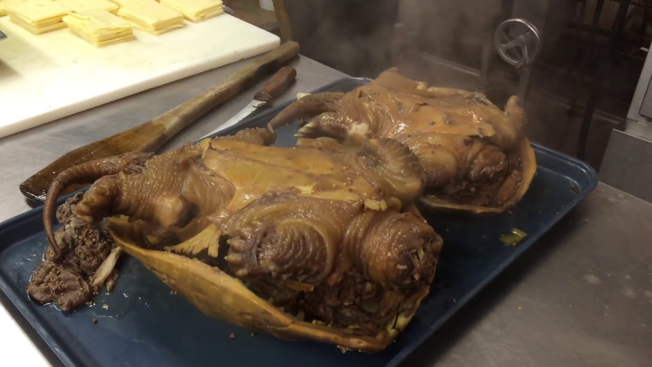 How to make snapping turtle soup