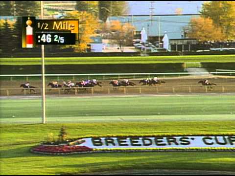 1996 Breeders' Cup Classic