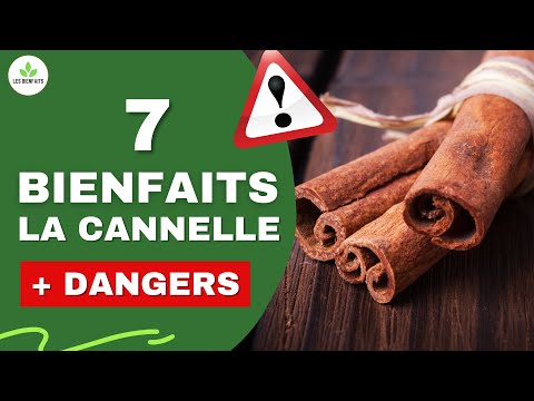 CANNELLE : SES BIENFAITS ET DANGERS POUR LA SANTE