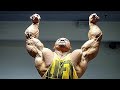 Bodybuilding Motivation - Wolf In My Mind 