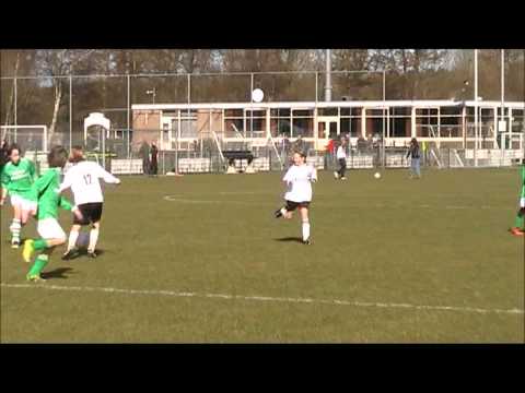 Zeevogels E3 Berdos E5 samenvatting 19 maart 2011