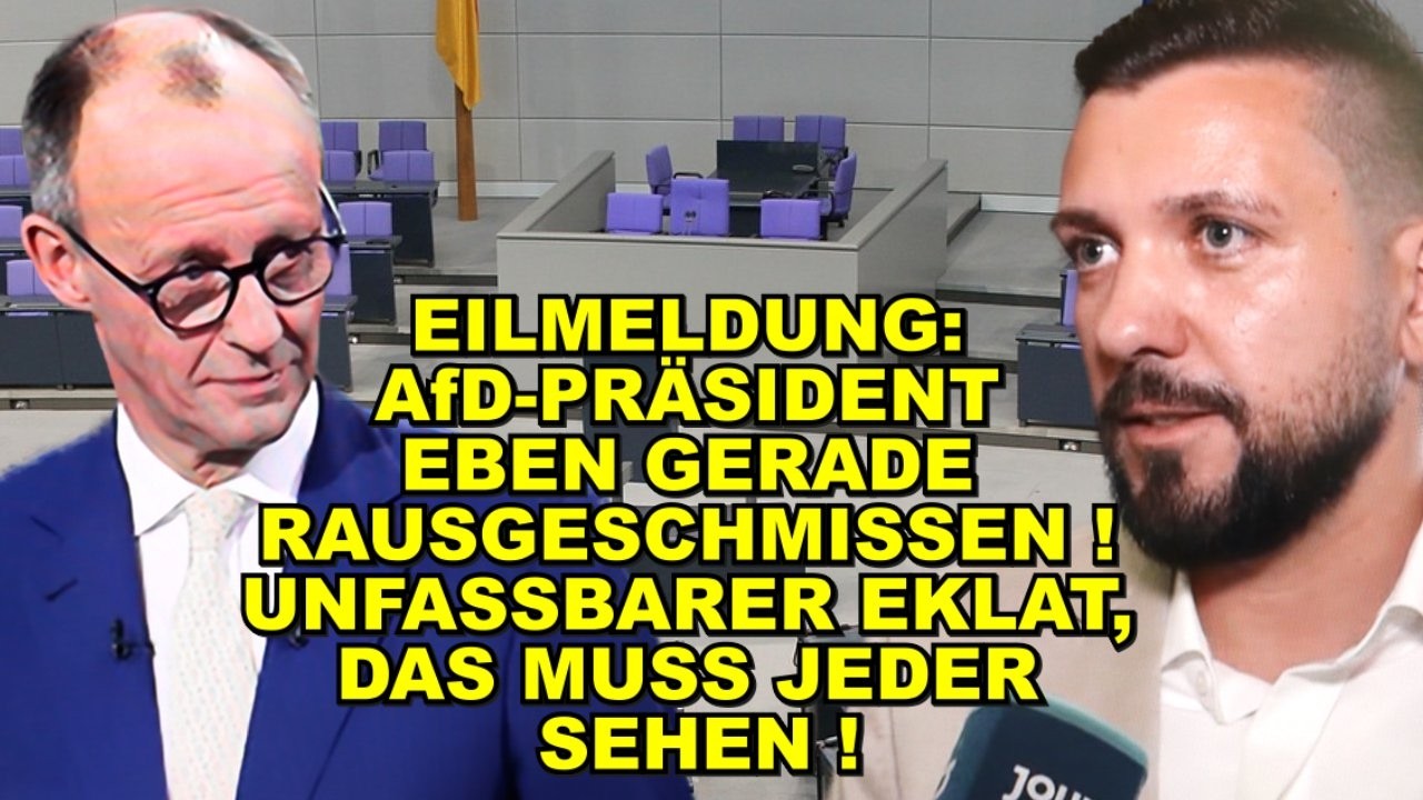 EIL: AfD-Präsident FLIEGT RAUS! Schock!