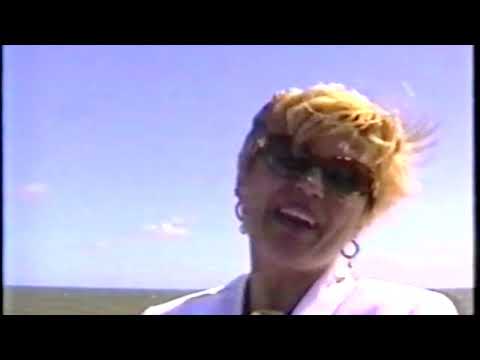 " Domu'. Viorel nu este acasa " - Nicoleta Voica