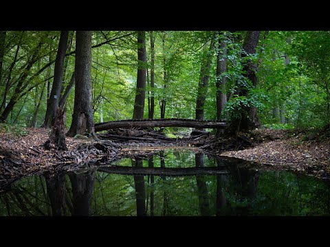 [4K video] footage and photos from the Czech Republic