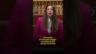 ԵԽԽՎ-ում ՔՊ-ականին լռեցրին Կաթողիկոսի դեմ ելույթի ժամանակ