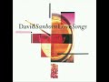 David Sanborn _ I Do It for Your Love