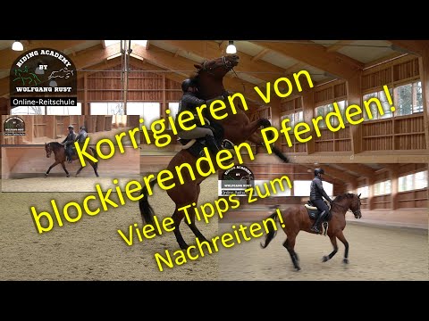 F101 Horse blocks and rears. Solutions for riders on dull, misbehaving horses. Learn to ride.