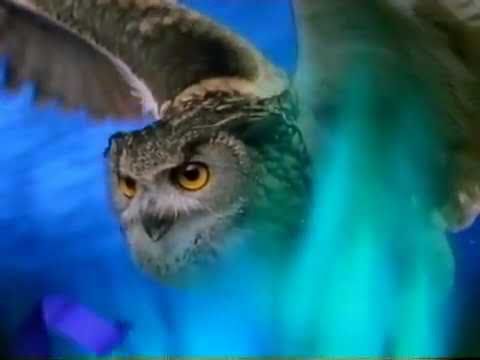 MTV3 - Ribbon Owl (1993)