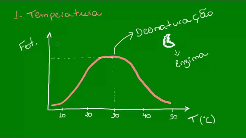 Fatores que afetam a fotossíntese - Temperatura e gás carbônico - Botânica - Biologia
