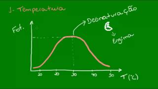 Fatores que afetam a fotossíntese - Temperatura e gás carbônico - Botânica - Biologia