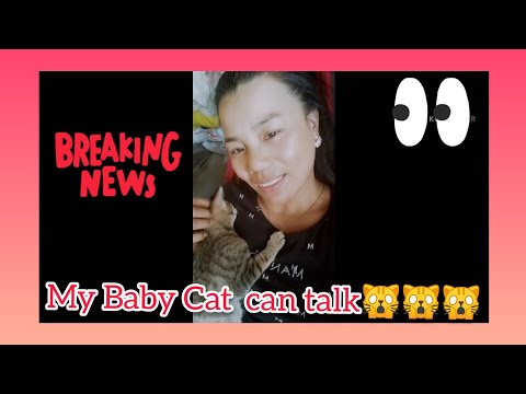 MY BABY CAT ADI IS TALKING 🙀🙀🙀 | Flordeliza Franco Vlogs