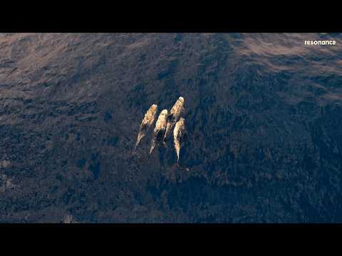 Ben Böhmer, M83, Avaion, Rone, French 79 & More | Sunrise DJ Set on the Mediterranean Sea