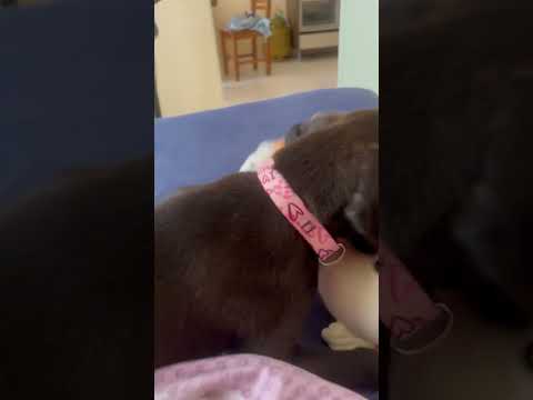Vídeo de Sem nome