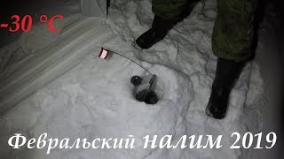 Налима на жерлицы
