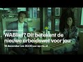 WABlief? Dit betekent de nieuwe arbeidswet voor jou - RTL Z NIEUWS