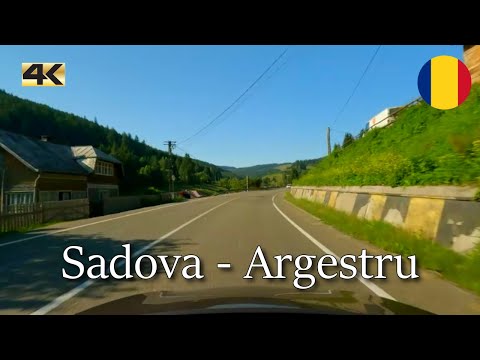 Driving in Romania from Sadova to Argestru | summer 2023 | 4K
