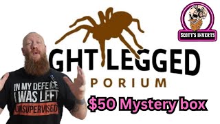 $50 mystery box  // unboxing spiders  