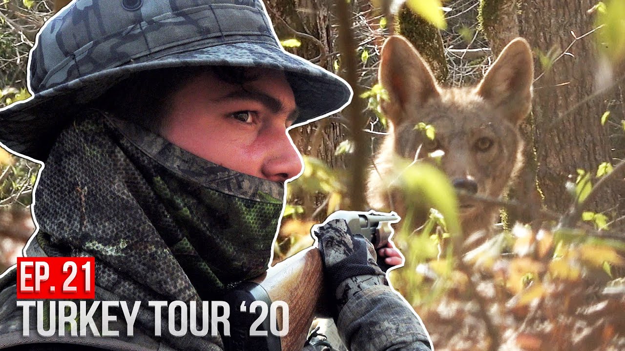 STALKED by COYOTES! - CRAZY Day of Turkey Hunting in Tennessee!