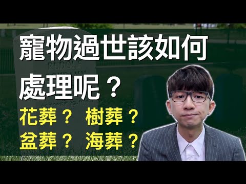 適合盆葬的植物