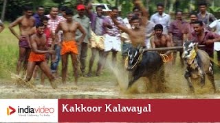 Kakkoor Kalavayal - the bull racing