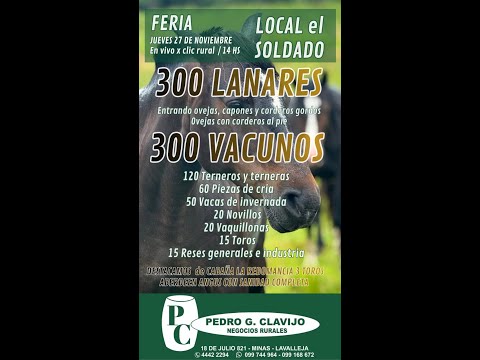 27/11/2025 Local el Soldado - Lavalleja - Pedro G. Clavijo