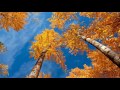 John Denver: Season Suite - Fall