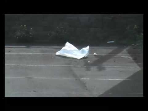 American Beauty Dancing Bag