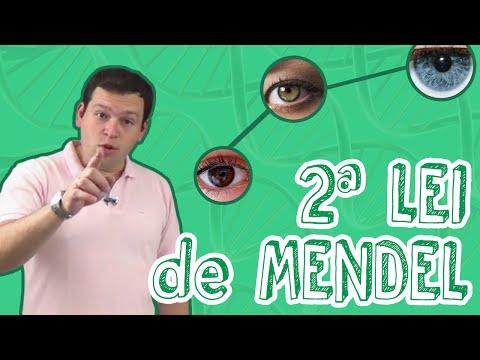 Biology Class - Genetics - Mendel's 2nd Law for Enem and Vestibulares - STOODI