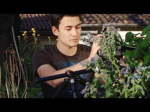 Makrofotografie | Teil 1 - Motivation, Ausrüstung, Einstellungen - AKIRA|fotografie