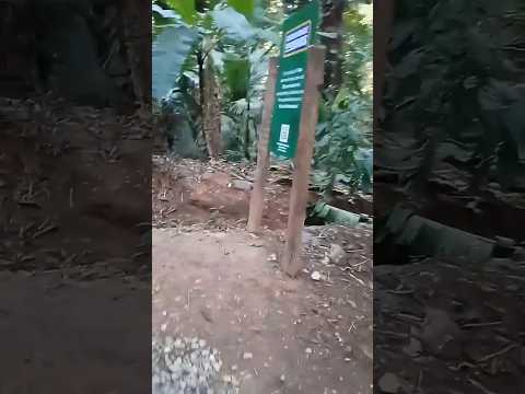 Fui visitar a Terra dos Dinos e... #miguelpereira #reação