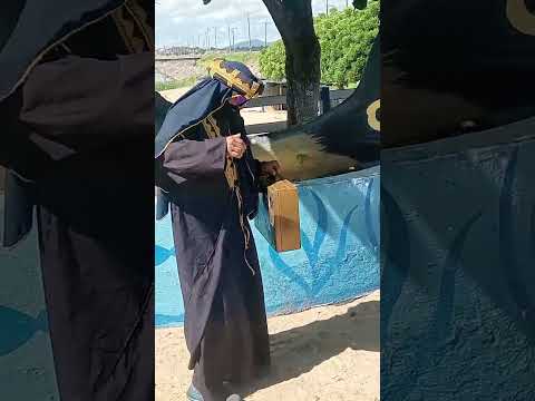 sheik ostentando na cidade de pentecoste ceara #humor