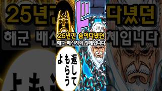 원피스 - 25년간 숨어다녔던 배신자.        #쇼츠 #원피스