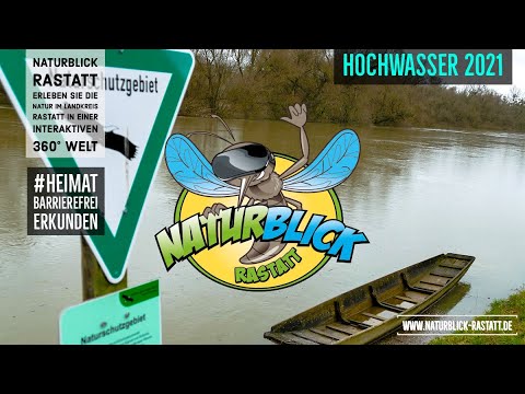 Naturblick Rastatt - Hochwasser Rheinbrücke Wintersdorf und Altrhein Plittersdorf (2021)