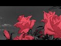 Roses - The Chainsmokers (Slowed + Reverb)