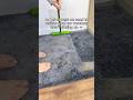 I Literally Vacuumed Yesterday Pethairremoval Cleantok Cleaninghacks Pets