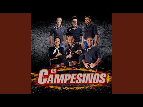 Bailes Do Paraná - Os Campesinos
