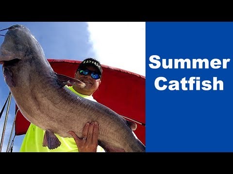 CATFISHING IN SUMMER - SUMMER CATFISH TIPS - SUMMER CATFISH STRATEGIES