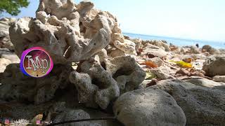 Download lagu DJ RASA INI YANG TERTINGGAL  DJ Angklung pergi no exit (slow remix) by imp ft. rakean mp3