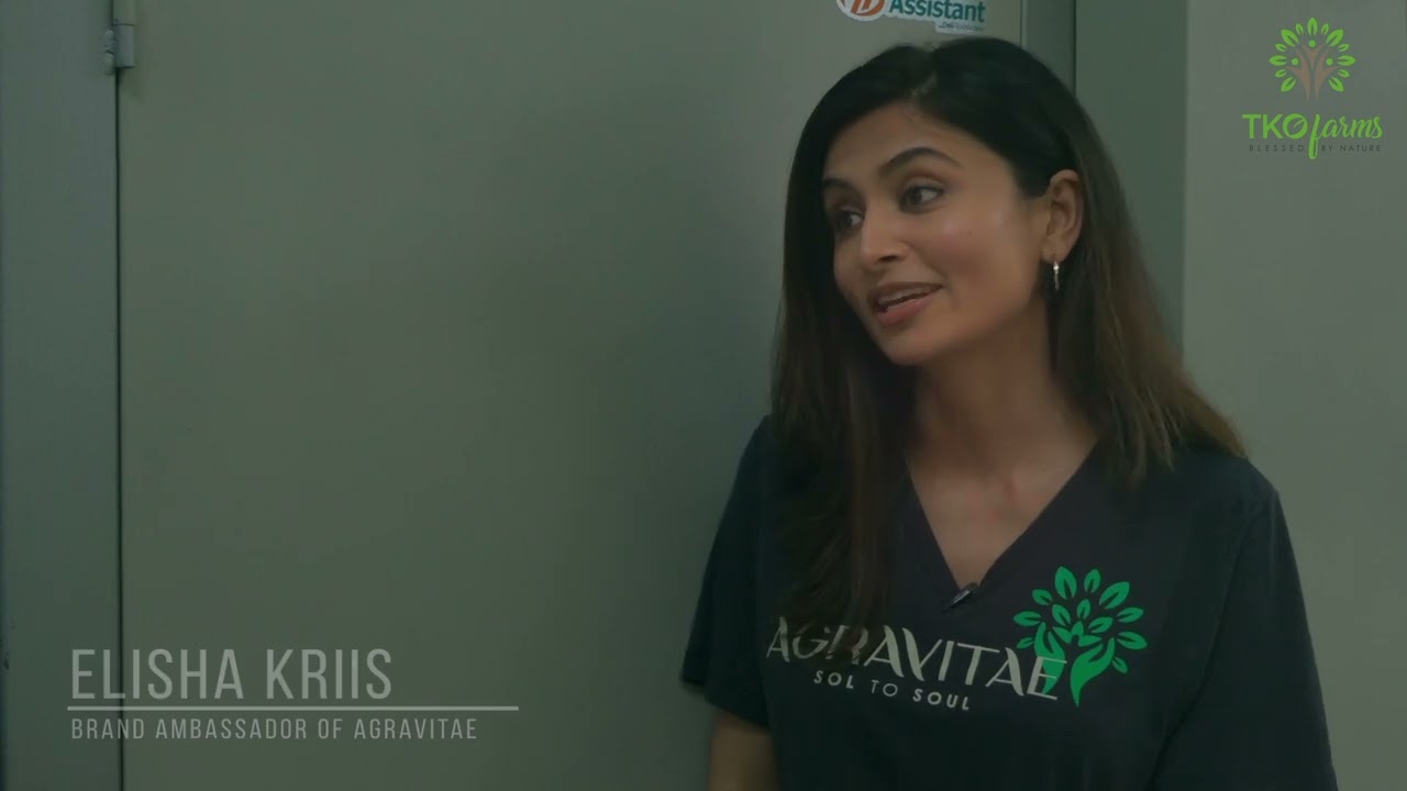 Preparing Graviola Leaves